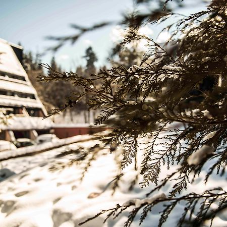 Moura Boutique Hotel By Asteri Hotels Borovets Exteriör bild