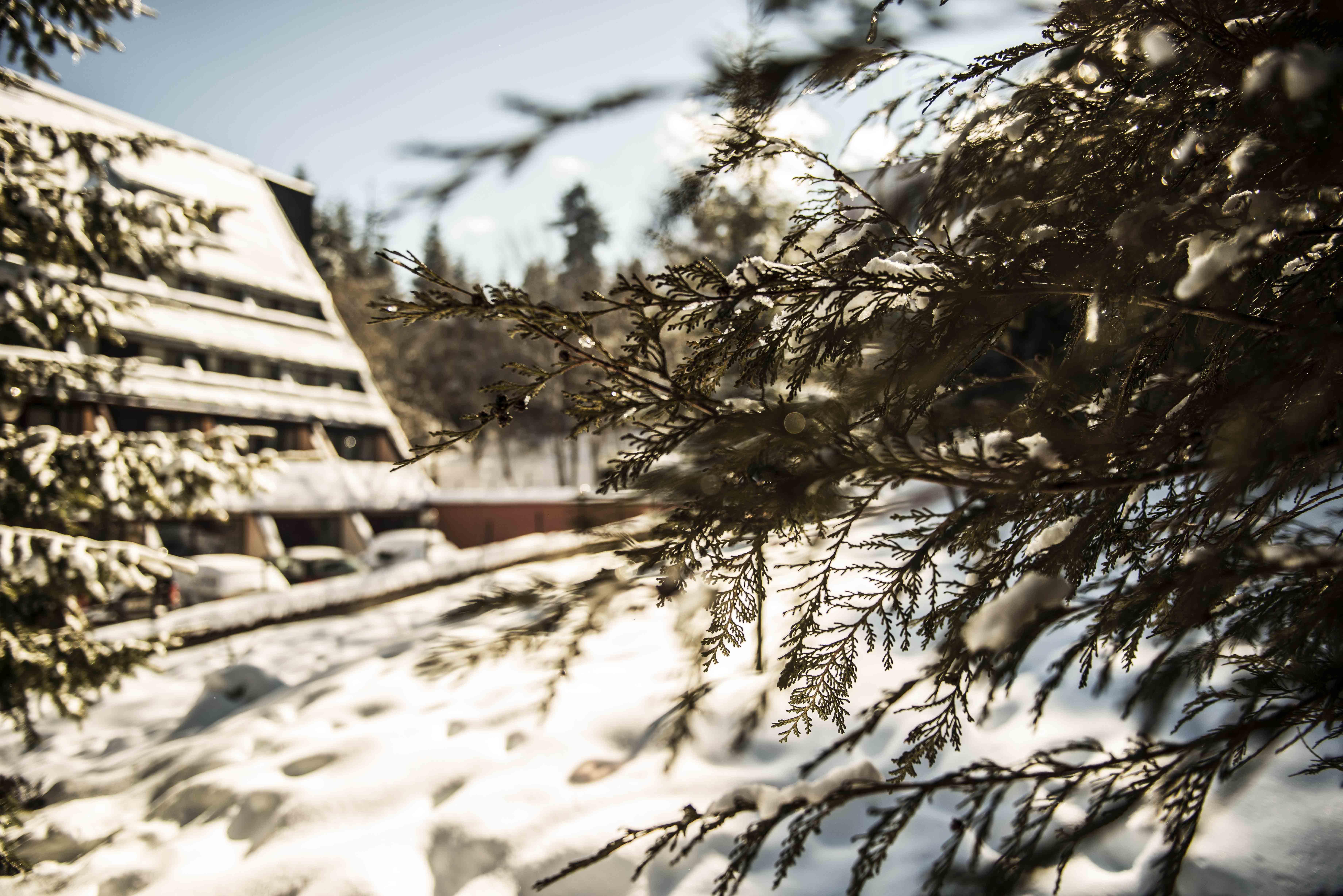 Moura Boutique Hotel By Asteri Hotels Borovets Exteriör bild